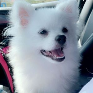 Meet your Posher, Victoria